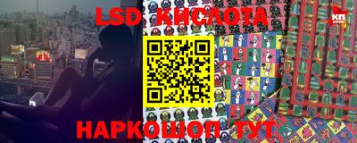 крисы Шебекино