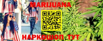крисы Шебекино