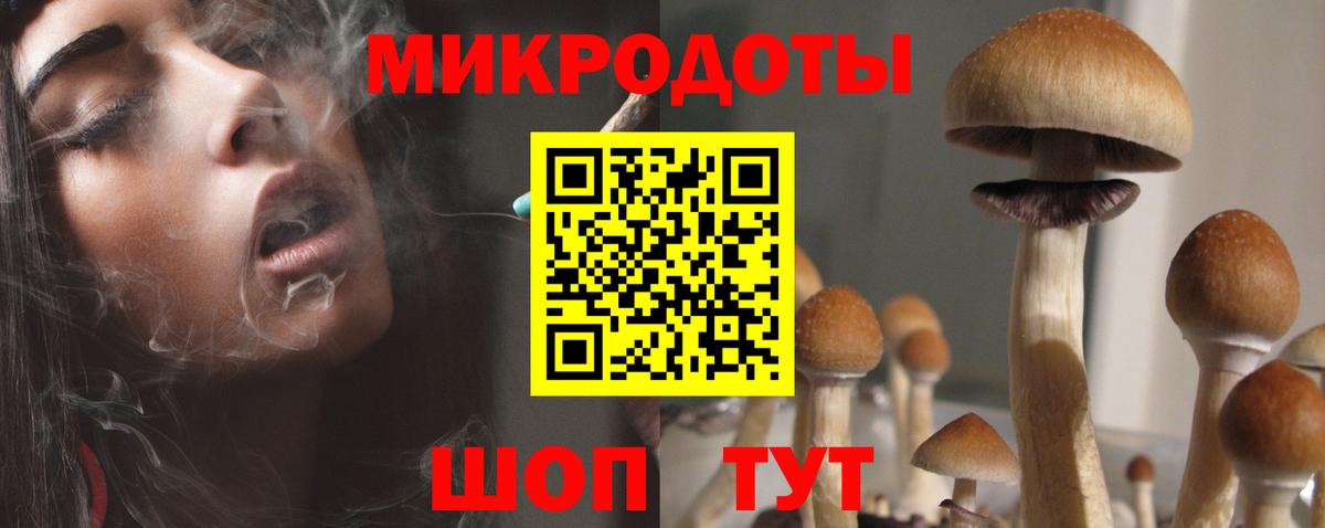 Псилоцибиновые грибы ЛСД  где продают наркотики  Псилоцибиновые грибы Psilocybine cubensis  Азнакаево  Вход с VPN 