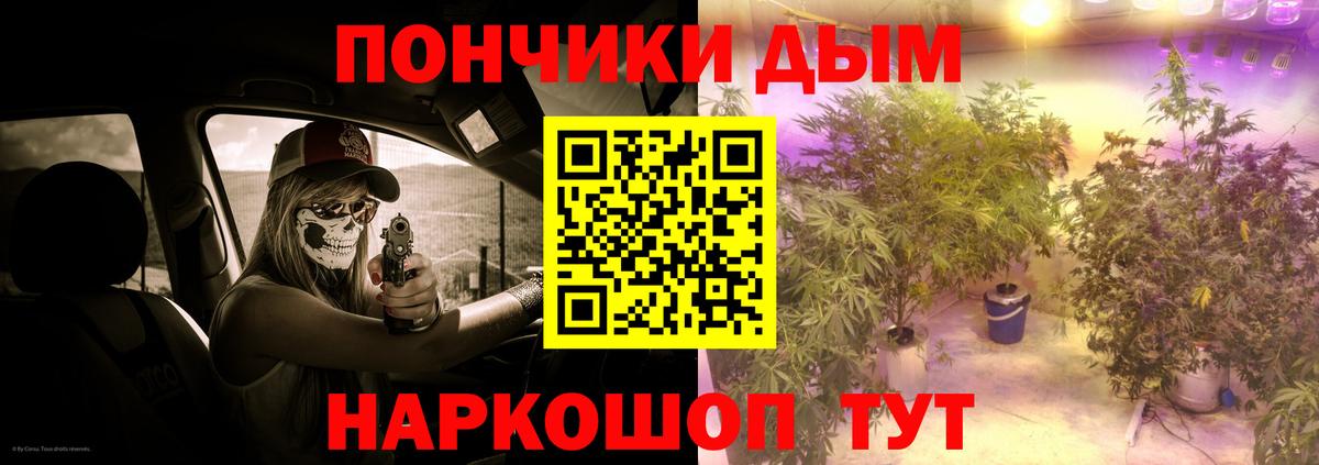 Канабис Ganja  Канабис Bruce Banner  Азнакаево  Канабис план  Вход с VPN 